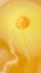 Let The Good Times Roll